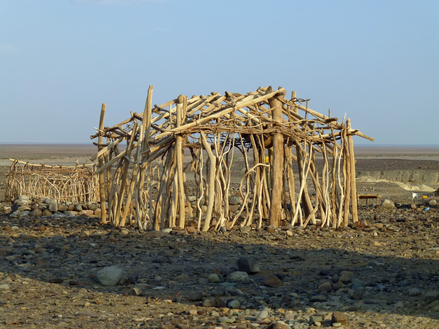 Wooden Afar shelters at the edge of the desert in Hamed Ela